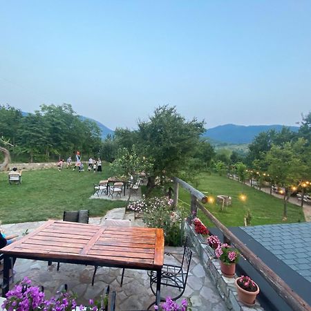 Vila Disha Tiranë Ngoại thất bức ảnh