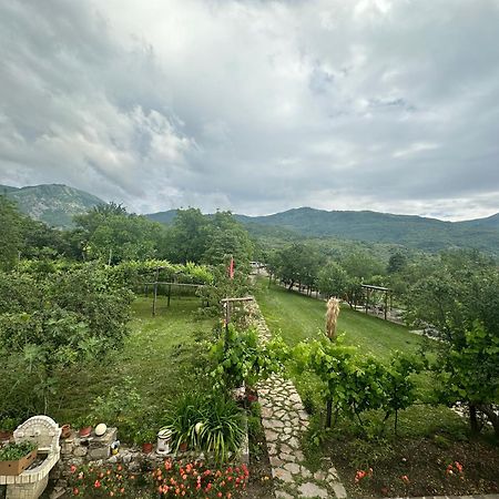 Vila Disha Tiranë Ngoại thất bức ảnh