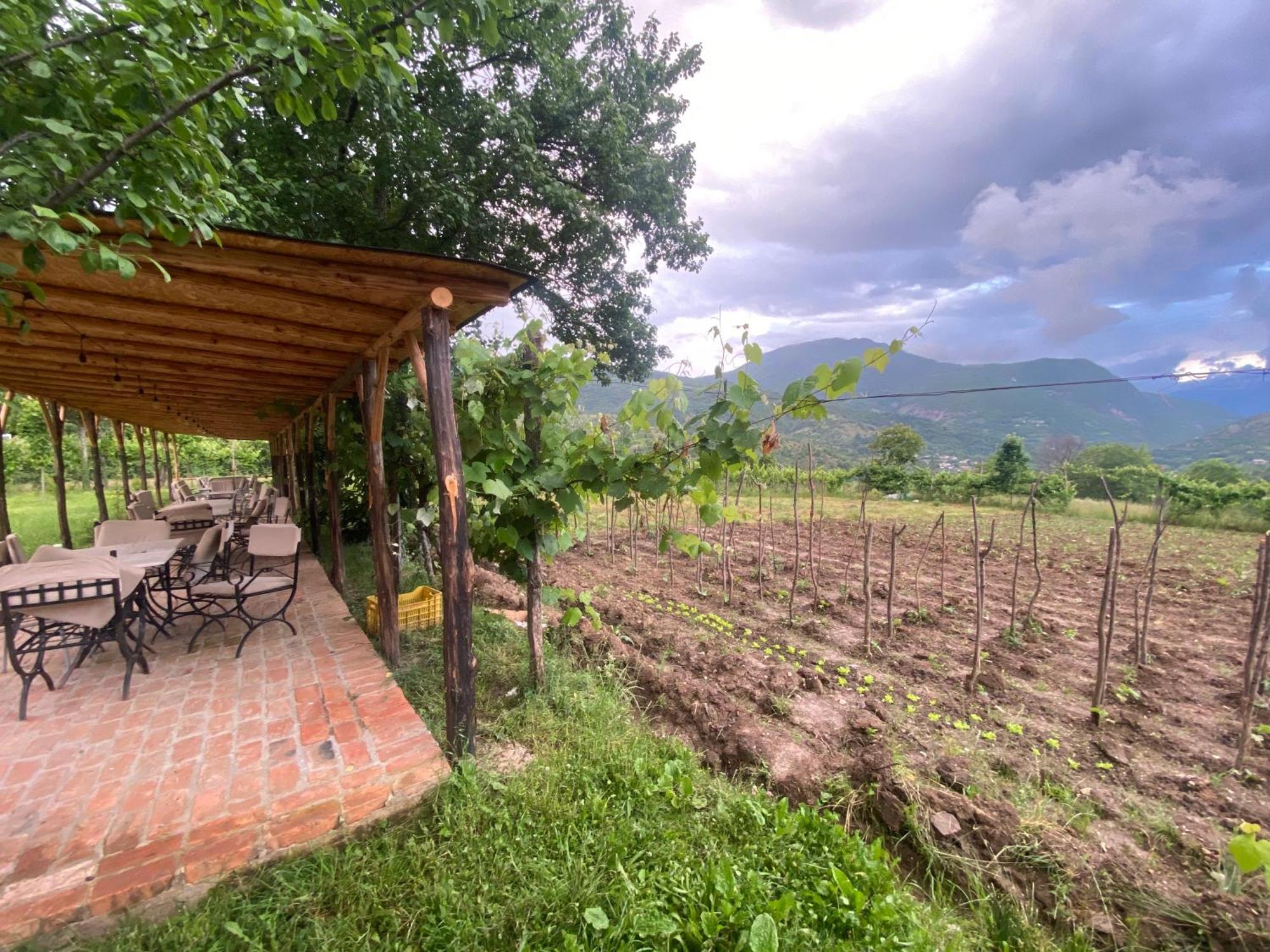 Vila Disha Tiranë Ngoại thất bức ảnh