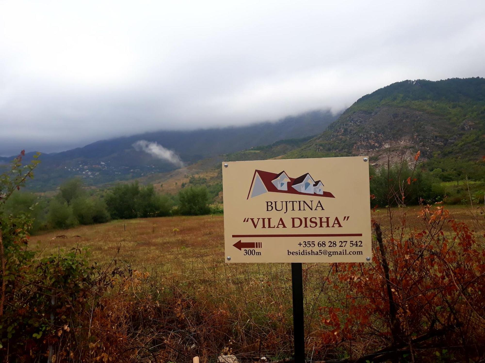 Vila Disha Tiranë Phòng bức ảnh