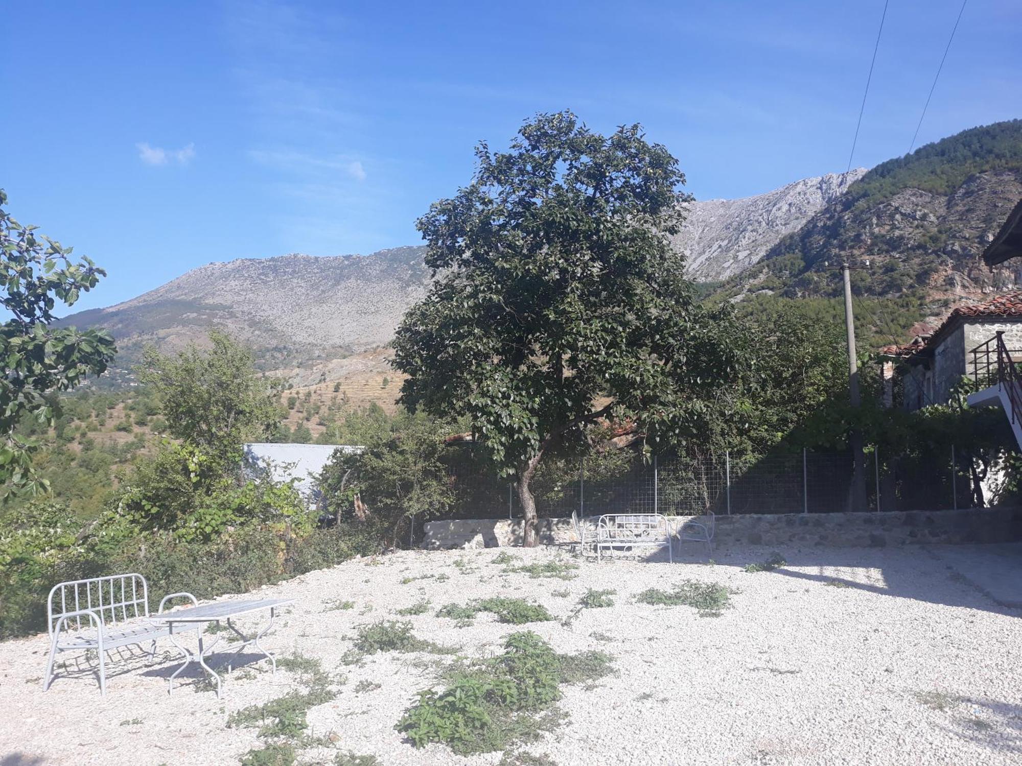 Vila Disha Tiranë Phòng bức ảnh