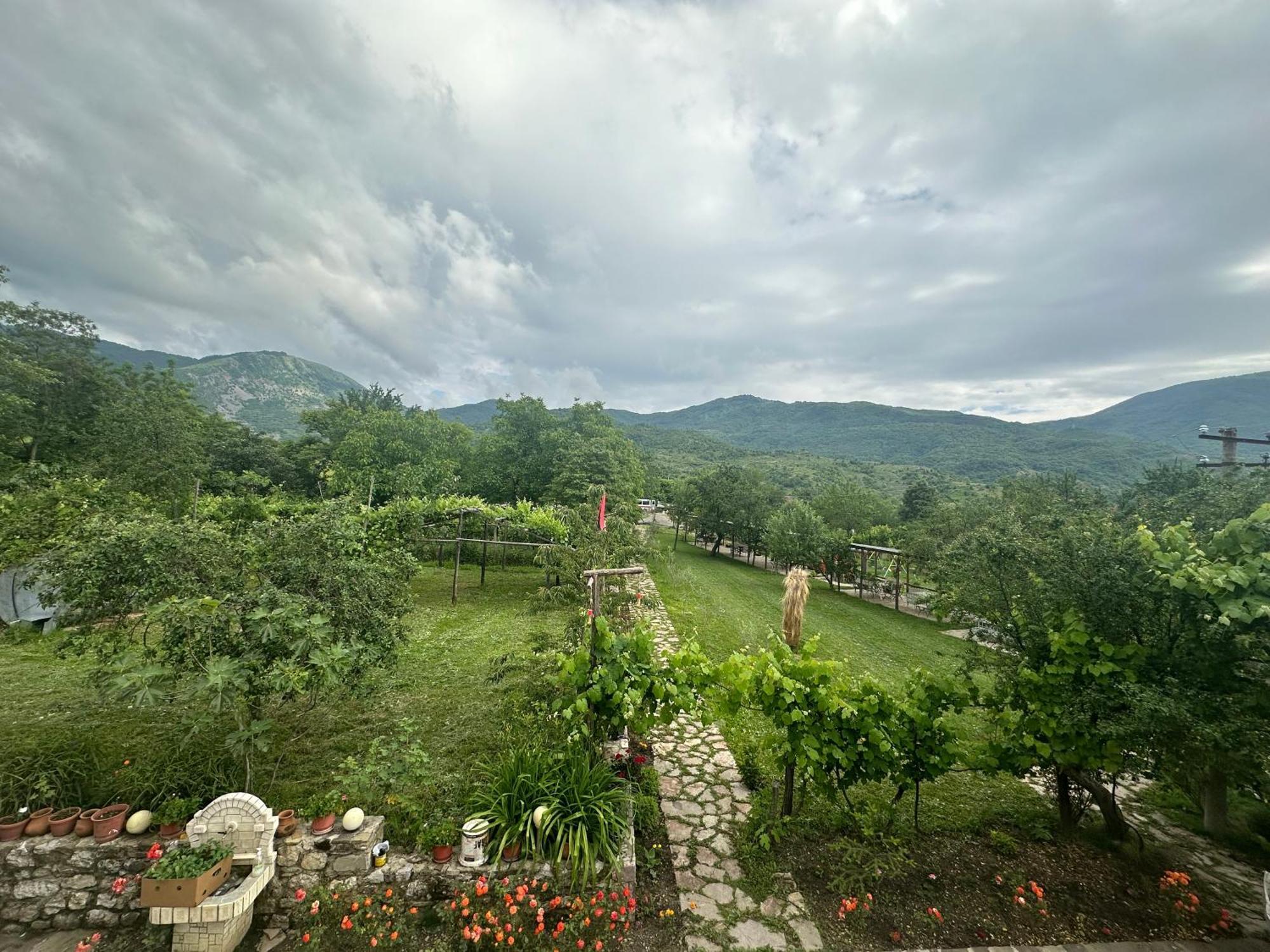 Vila Disha Tiranë Ngoại thất bức ảnh