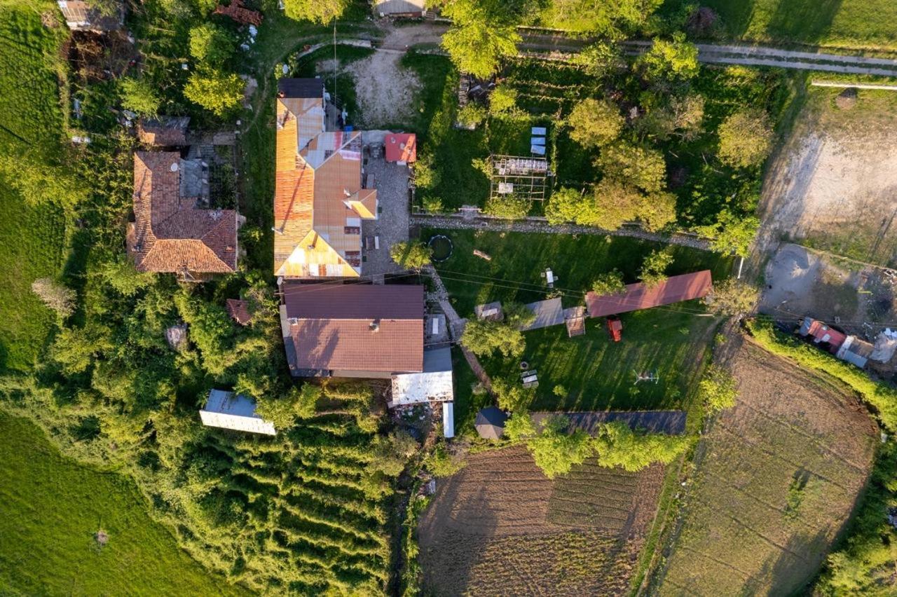 Vila Disha Tiranë Ngoại thất bức ảnh